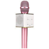 Sing Along Mic With Built In Speaker